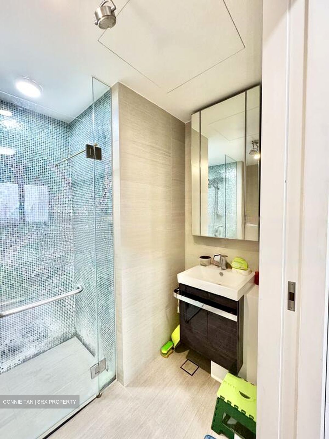 Sant Ritz (D13), Condominium #447896131